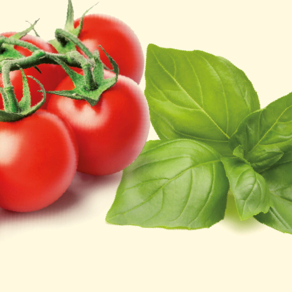 SUGO con POMODORO e BASILICO - Delizie D'Italia