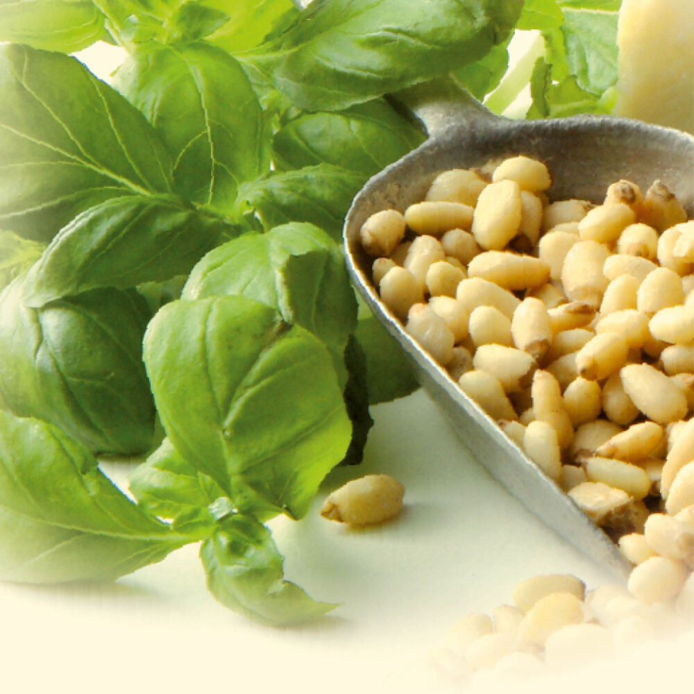PESTO GENOVESE - Delizie D'Italia