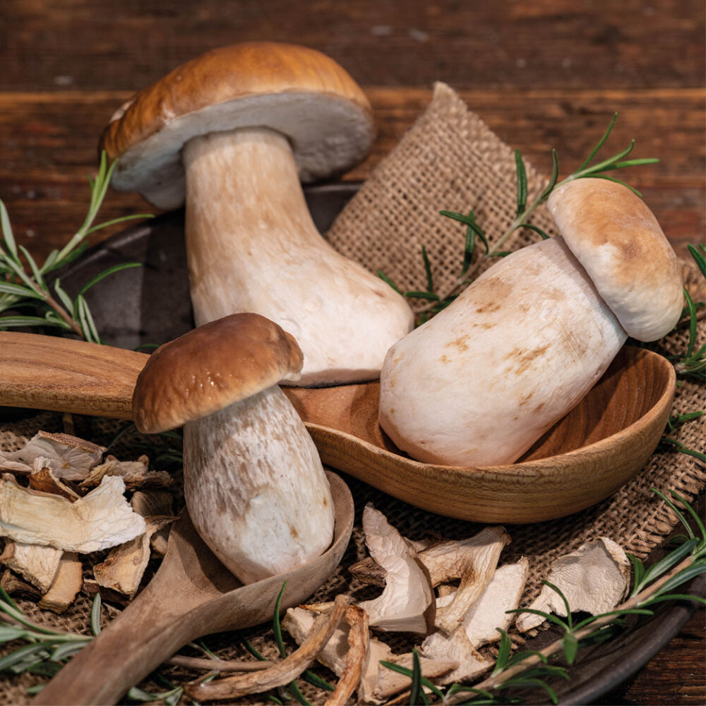 RISOTTO con FUNGHI PORCINI - Delizie D'Italia